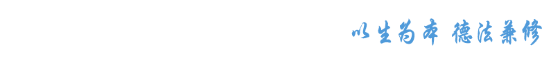 bv1946官网